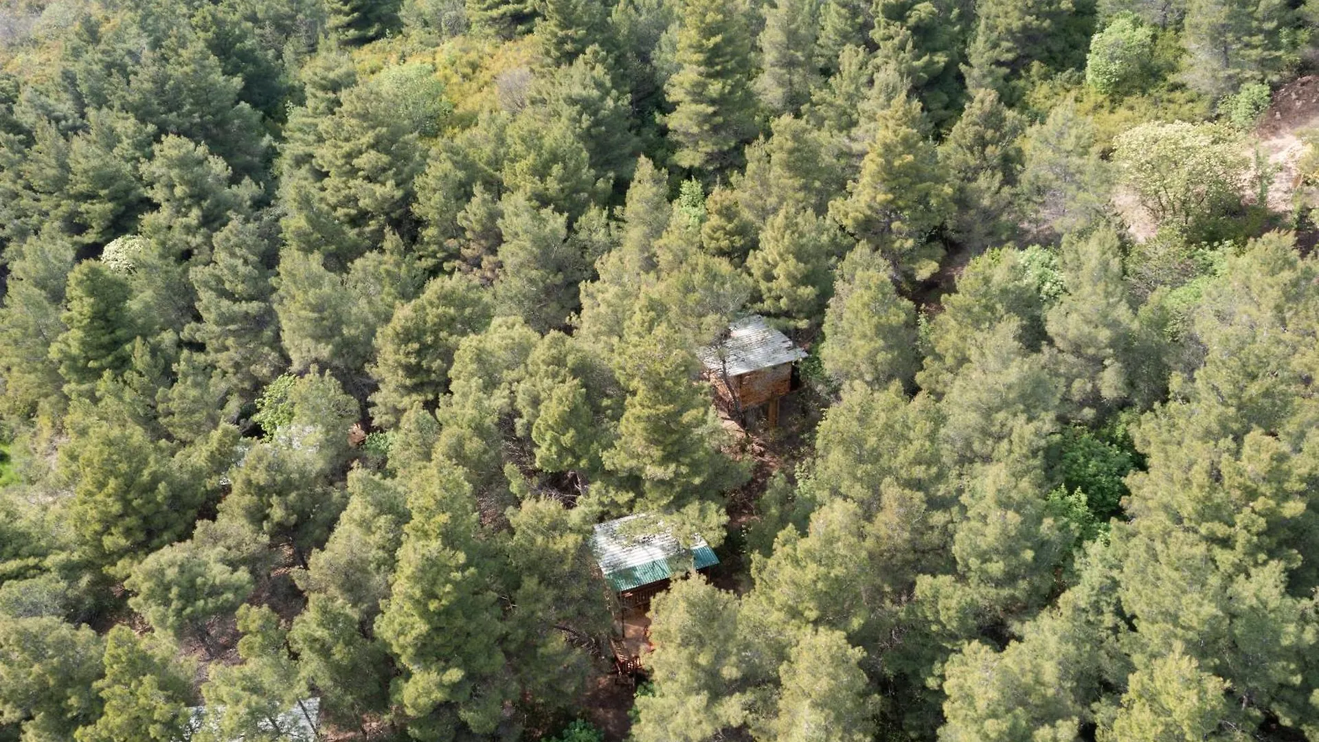 Holiday home Treehouses Ljubac Glamping Robinson